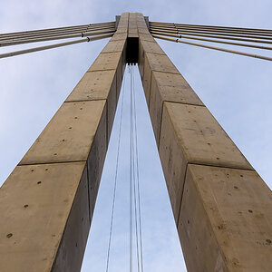OF2_68056.jpg