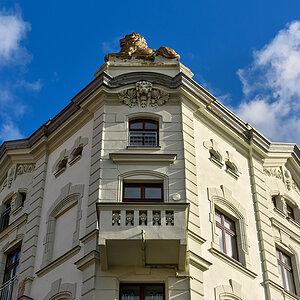OF2_67781.jpg
