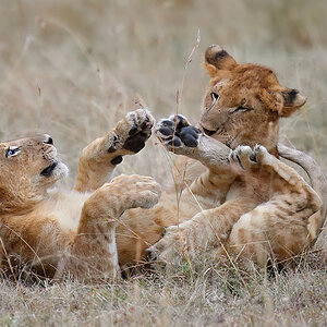 _5RG8886_20180718_182226_902Masai Mara 2018-1200.jpg