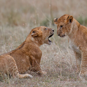 _5RG8904_20180718_182235_903Masai Mara 2018-1200.jpg