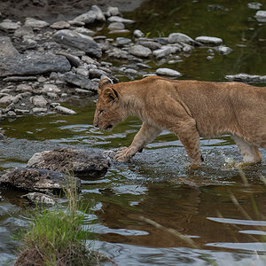 _85R2817_20180718_184152-1200.jpg