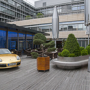 DSC_3126-1.jpg
