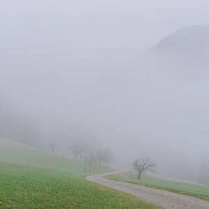 Nebel.jpg
