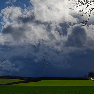 Z62_1542-1.jpg