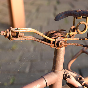 OF2_68368.jpg