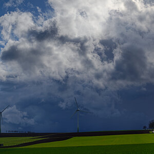 Z62_1542-2.jpg