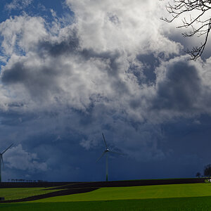 Z62_1542-3.jpg