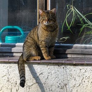 OF5_43577.jpg
