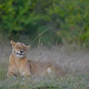 _85R5633_20180719_182304_842Masai Mara 2018-1200.jpg