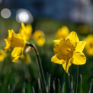 20240309-NZ6_9967.jpg