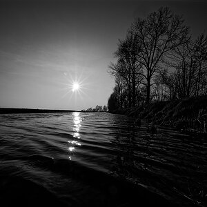 DSC_4405_1.jpg