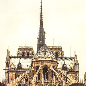 P9260058-Edit-Edit.jpg
