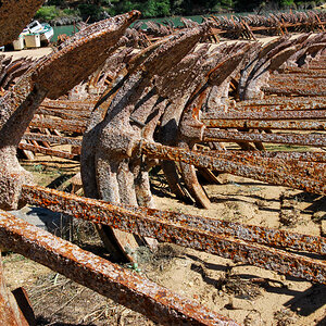 20131004-DSC_0489.jpg