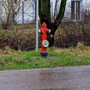 DSC_2317_DxOn.jpg
