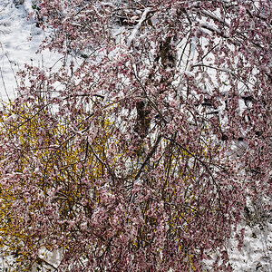 P3240036-Edit.jpg