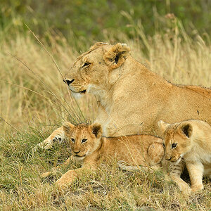 _5RG6756_20180722_103311_1754Masai Mara 2018-1200.jpg
