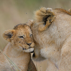 _85R9740_20180722_103808_1247Masai Mara 2018-1200.jpg