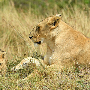 _5RG7040_20180722_104303_1810Masai Mara 2018-1200.jpg