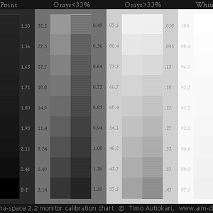 Gamma Space 22 Monitor