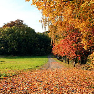 Oktobersonne
