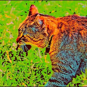 forum 1189847ee5ec7b485b