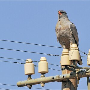 comp Namibia 09 00551