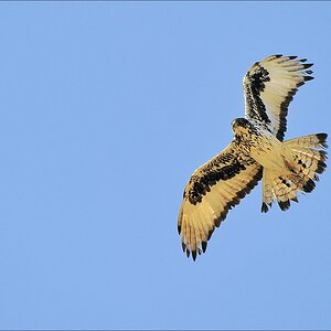 comp Namibia 09 00637
