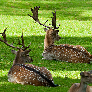 20090926 3537 [NIKON D2Xs]   420 mm  1 180 Sek. bei ƒ   5,6