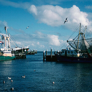 Hafentexel