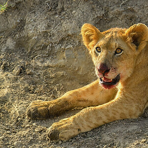 _5RG7870_20180722_170200_1860Masai Mara 2018-1200.jpg