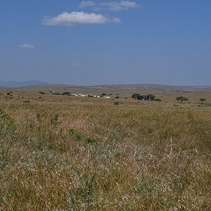 _R055611_20180723_150157_2479Masai Mara 2018_3221Masai Mara 2018-1200.jpg