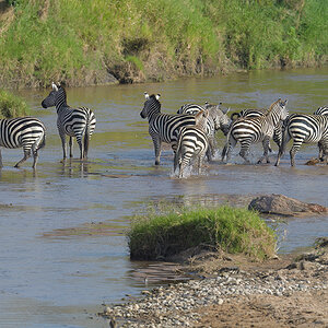 _85R1314_20180723_165002_2512Masai Mara 2018_3183Masai Mara 2018-1200.jpg