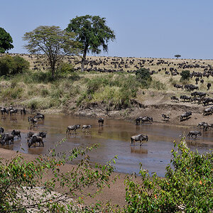 _R055726_20180724_105836_2353Masai Mara 2018_3402Masai Mara 2018-1200.jpg