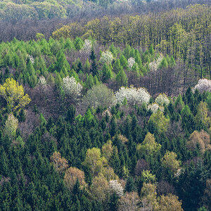 Frühling.jpg