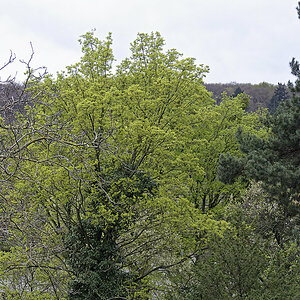 _DSC0183_DxOAxl.jpg