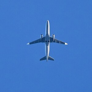 Birds in flight - 3.jpg