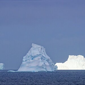 _DSC4491-2.jpg