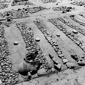20240329-NIK_7043.jpg