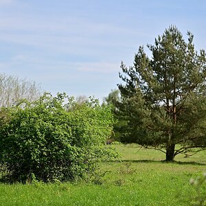 Heide_4.jpg