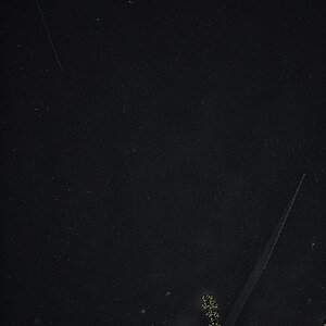 Sternenhimmel-details.jpg
