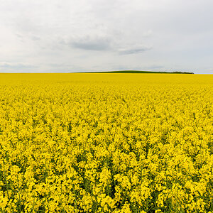 OF2_68753.jpg