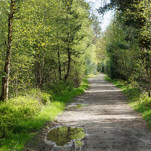 KSW03122.jpg
