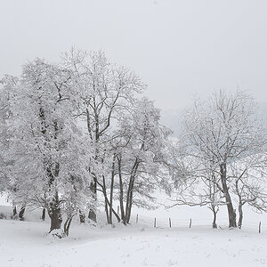 Winter.jpg