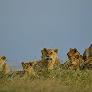 _5RG5270_20180725_171626_1079Masai Mara 2018.jpg