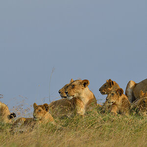 _5RG5322_20180725_171918_1081Masai Mara 2018.jpg