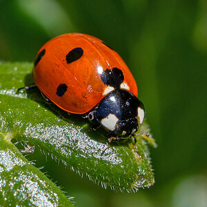OF5_44502.jpg