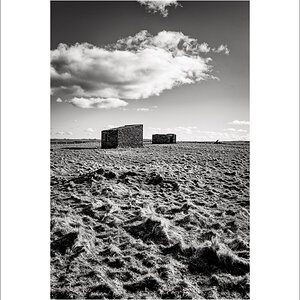 20240326-L1004884-Bearbeitet.JPG