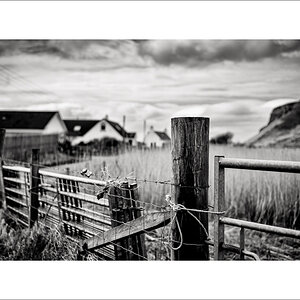 20240402-L1005060-Bearbeitet.JPG