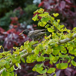 DSC_6975.jpg