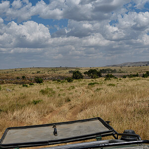 _R056902_20180727_130947_3974Masai Mara 2018.jpg
